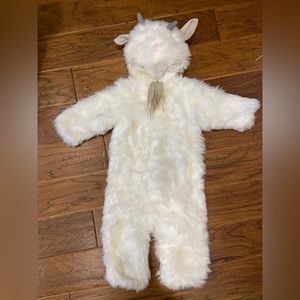 Pottery Barn Kids Costume